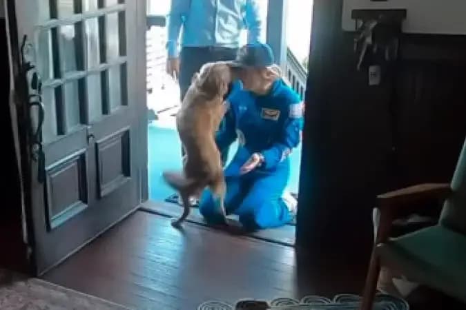 Astronauta da Artemis II se emociona ao rever cadela após missão