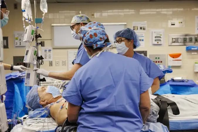 Rim de porco mantém paciente sem diálise por 271 dias após transplante