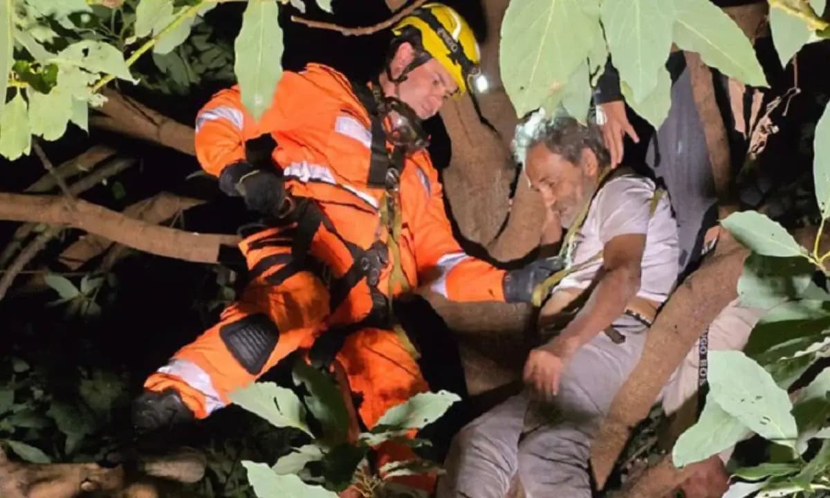 Idoso fica preso em goiabeira de 7 metros e precisa de resgate