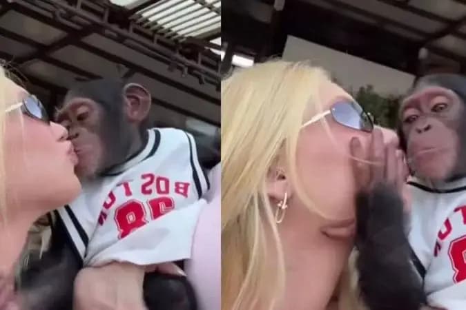 Virginia Fonseca beija macaco durante passeio em Dubai e atitude gera polêmica